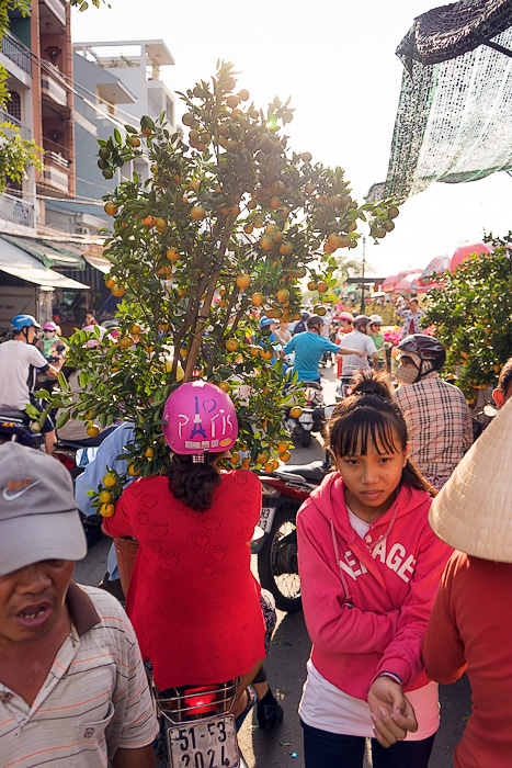 The Floating Flower Market of Ben Binh