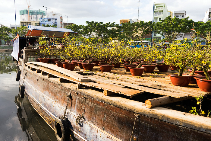 The Floating Flower Market of Ben Binh