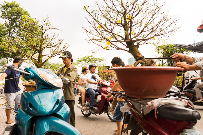 The Floating Flower Market of Ben Binh