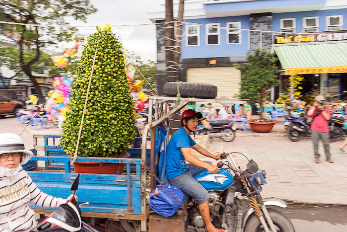 The Floating Flower Market of Ben Binh