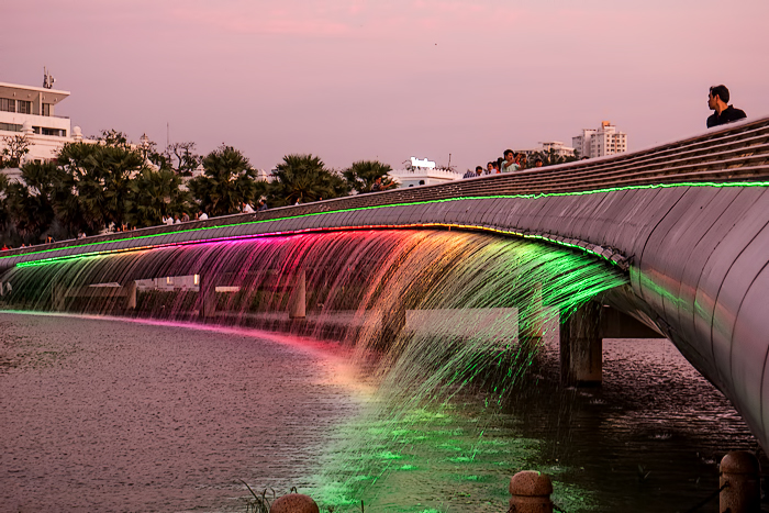 Read more about the article The Starlight Bridge