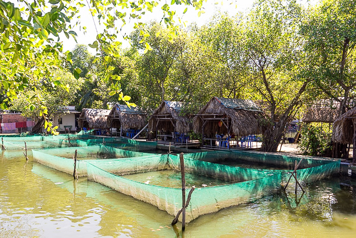 Fishing Pond Sports