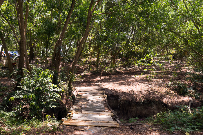 Endangered Beach Phu Quoc