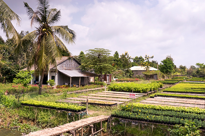 Flower Village SaDec