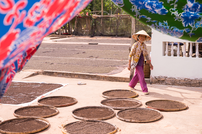 Pepper Farm Phu Quoc