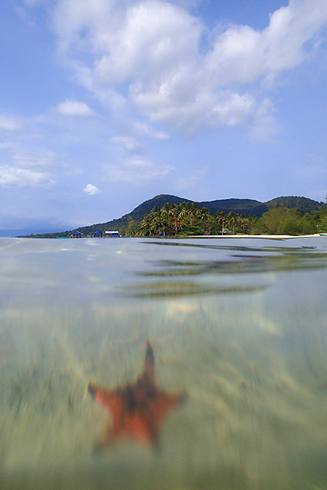 Star Fish Beach Phu Quoc